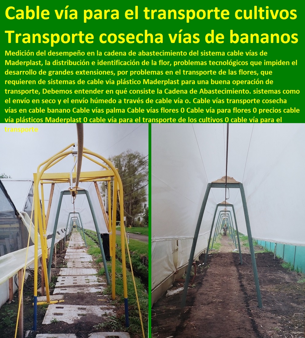 Cable vías transporte cosecha vías en cable banano Cable vías palma Cable vías flores 0 Cable vía para flores 0 INVERNADEROS, SEMILLEROS, BANCOS DE SIEMBRA, Hidroponía, Agricultura, Cosecha, Poscosecha, Tutores para Flores cable vía Bananas Aromáticas, Cultivos Tecnificados, precios cable vía plásticos Maderplast 0 cable vía para el transporte de los cultivos 0 cable vía para el transporte Cable vías transporte cosecha vías en cable banano Cable vías palma Cable vías flores 0 Cable vía para flores 0 precios cable vía plásticos Maderplast 0 cable vía para el transporte de los cultivos 0 cable vía para el transporte